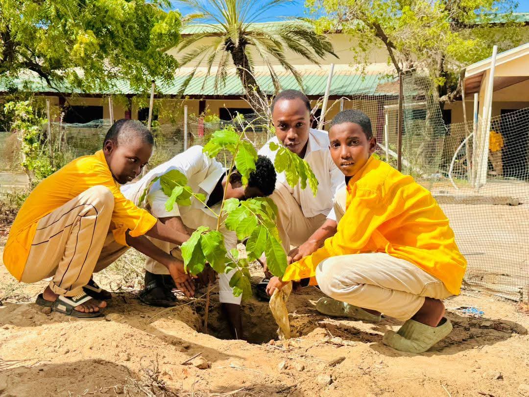 Community resilience and climate adaptation